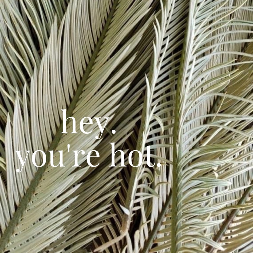 Meet your Posher, Sierra